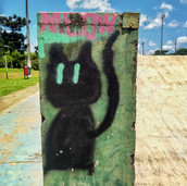 Foto: Acervo Descubra Chapecó