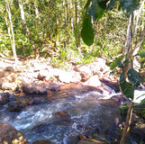Foto: Acervo Descubra Chapecó