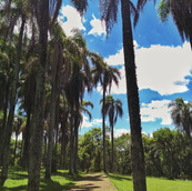 Foto: Acervo Descubra Chapecó