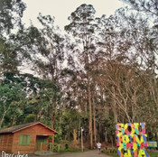 Foto: Acervo Descubra Chapecó