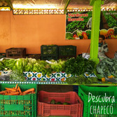Foto: Acervo Descubra Chapecó