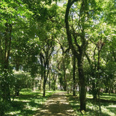 Foto: Acervo Descubra Chapecó
