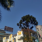 Foto: Acervo Descubra Chapecó