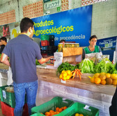 Foto: Acervo Descubra Chapecó