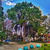 Foto: Acervo Descubra Chapecó