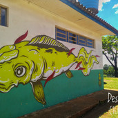 Foto: Acervo Descubra Chapecó