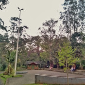 Foto: Acervo Descubra Chapecó