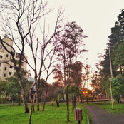 Foto: Acervo Descubra Chapecó