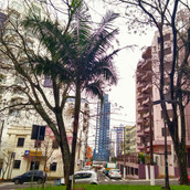 Foto: Acervo Descubra Chapecó