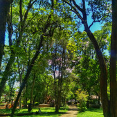 Foto: Acervo Descubra Chapecó