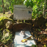 Foto: Acervo Descubra Chapecó