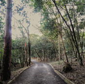 Foto: Acervo Descubra Chapecó