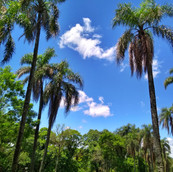 Foto: Acervo Descubra Chapecó