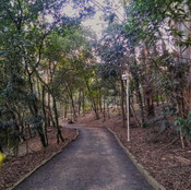 Foto: Acervo Descubra Chapecó
