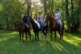 Selecting a Trail Riding Destination