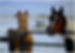 Two horses standing at a gate