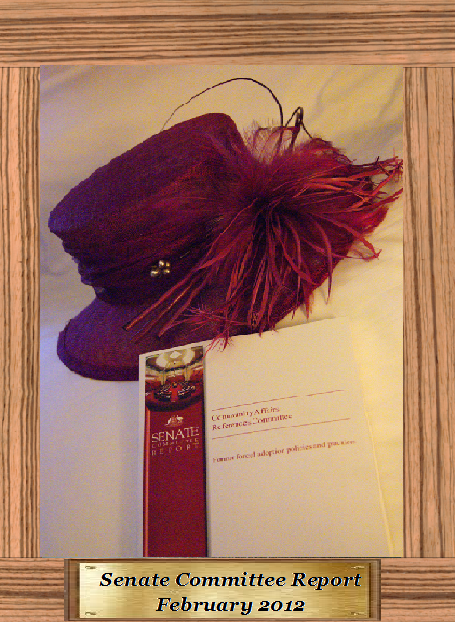 001 The book plus hat