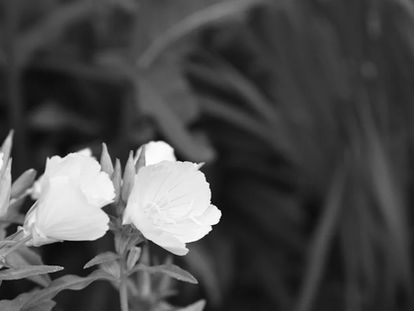 Baby & Børn Problemhud