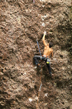 Festival de escalada braço esquerdo