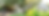 FAQ BANNER-01.png