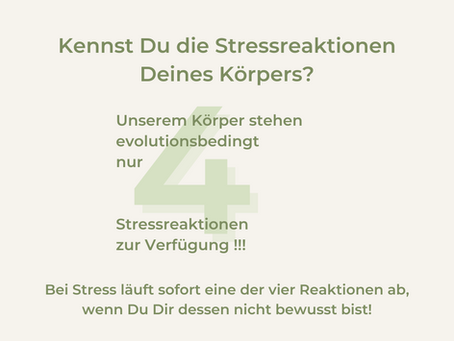Du bist Dein Körper. Und Dein Körper hat 4 Stressreaktionen, die sofort ablaufen: 