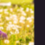 אינסטה-אלרגיות-02