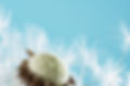 macro-nature-dandelion-at-sky-background-freedom-2025-03-10-02-18-38-utc.jpeg