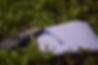 Calulator on grass.jpg