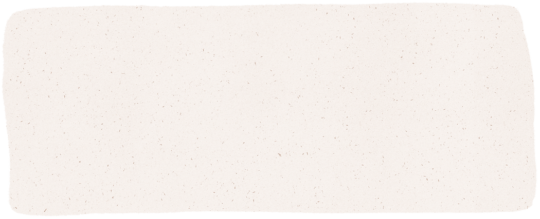 2 fleck background horizontal.png