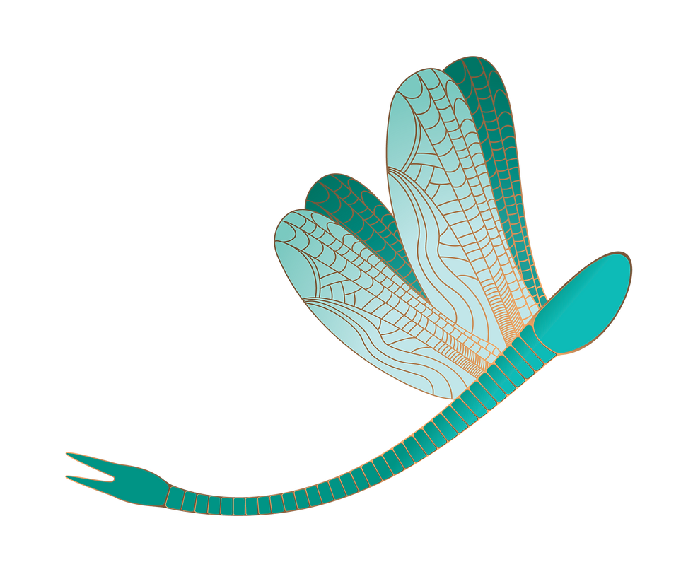 Heartfully Reconfigured Logo & Branding