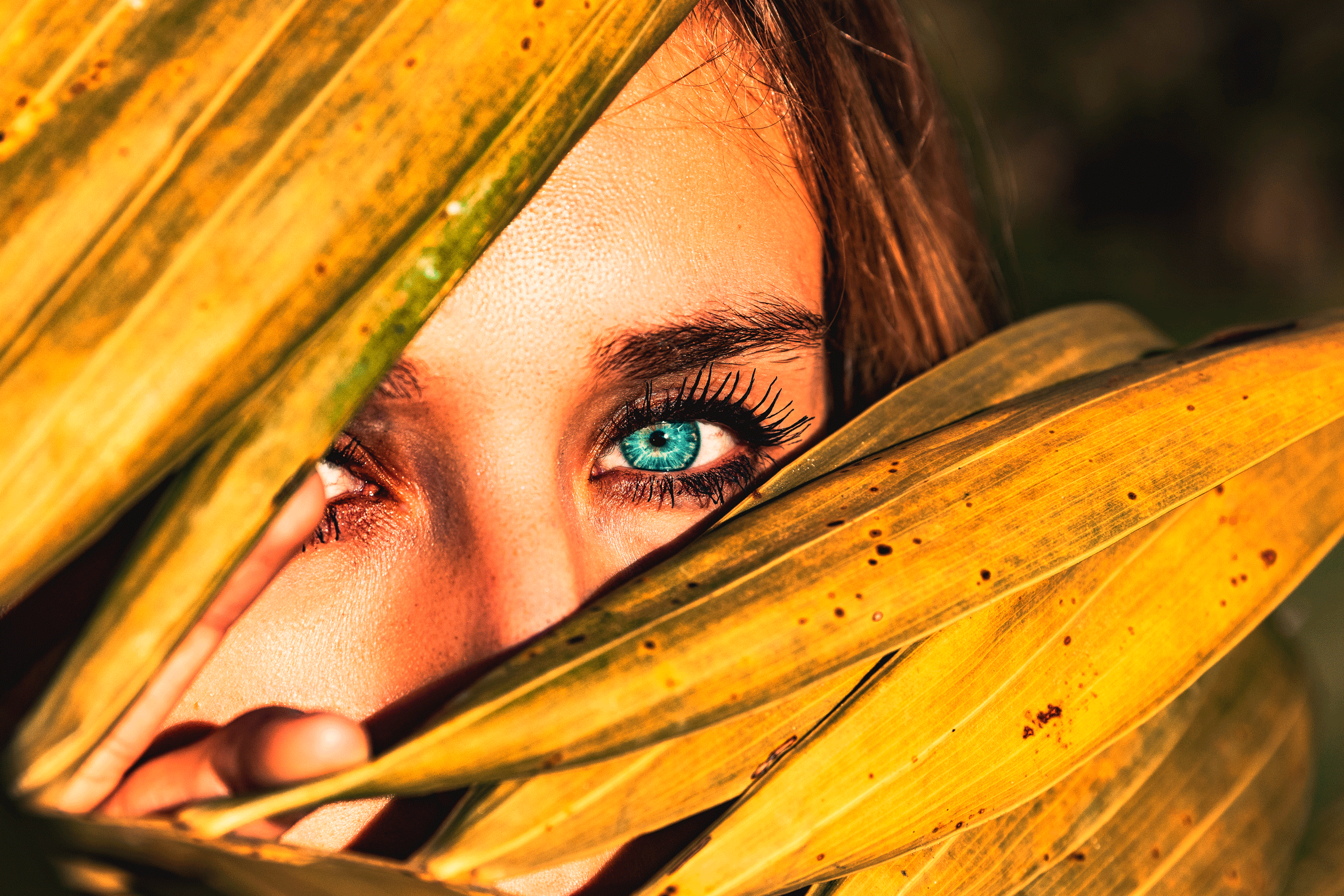 hiding-small.gif