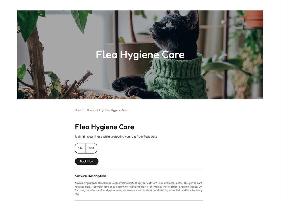 Cat Care wix templates services page for cat grooming, wellness, and boarding options.