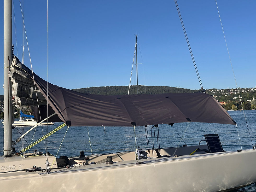 Sunshade for an Esse850