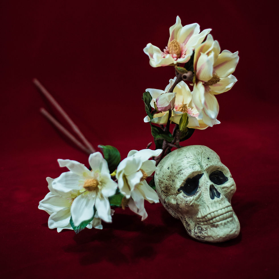 B2 / 歐式玉蘭花*2 30元