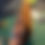 Thumbnail: Tobacco Cool