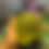 Thumbnail: Magi GreenBox