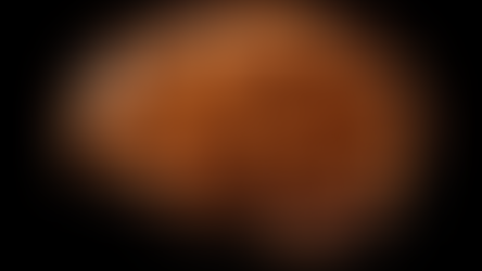 Kaygı ve Nörobilim