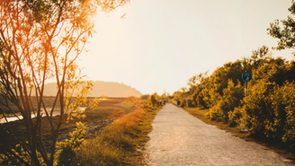 Mindfulness Eğitimlerine Nereden Başlamalıyım? Adım Adım Eğitim Rehberi