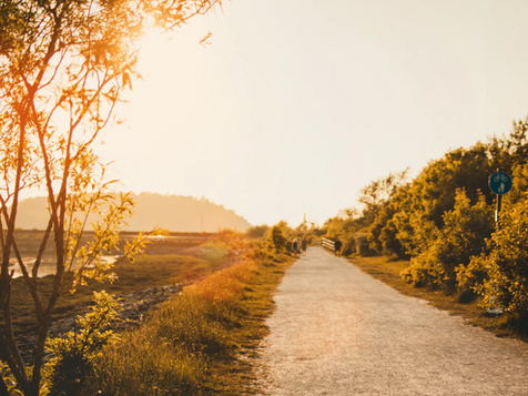 Mindfulness Eğitimlerine Nereden Başlamalıyım? Adım Adım Eğitim Rehberi