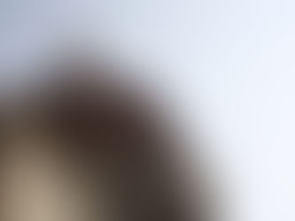 Filippo Brunelleschi e la sua cupola