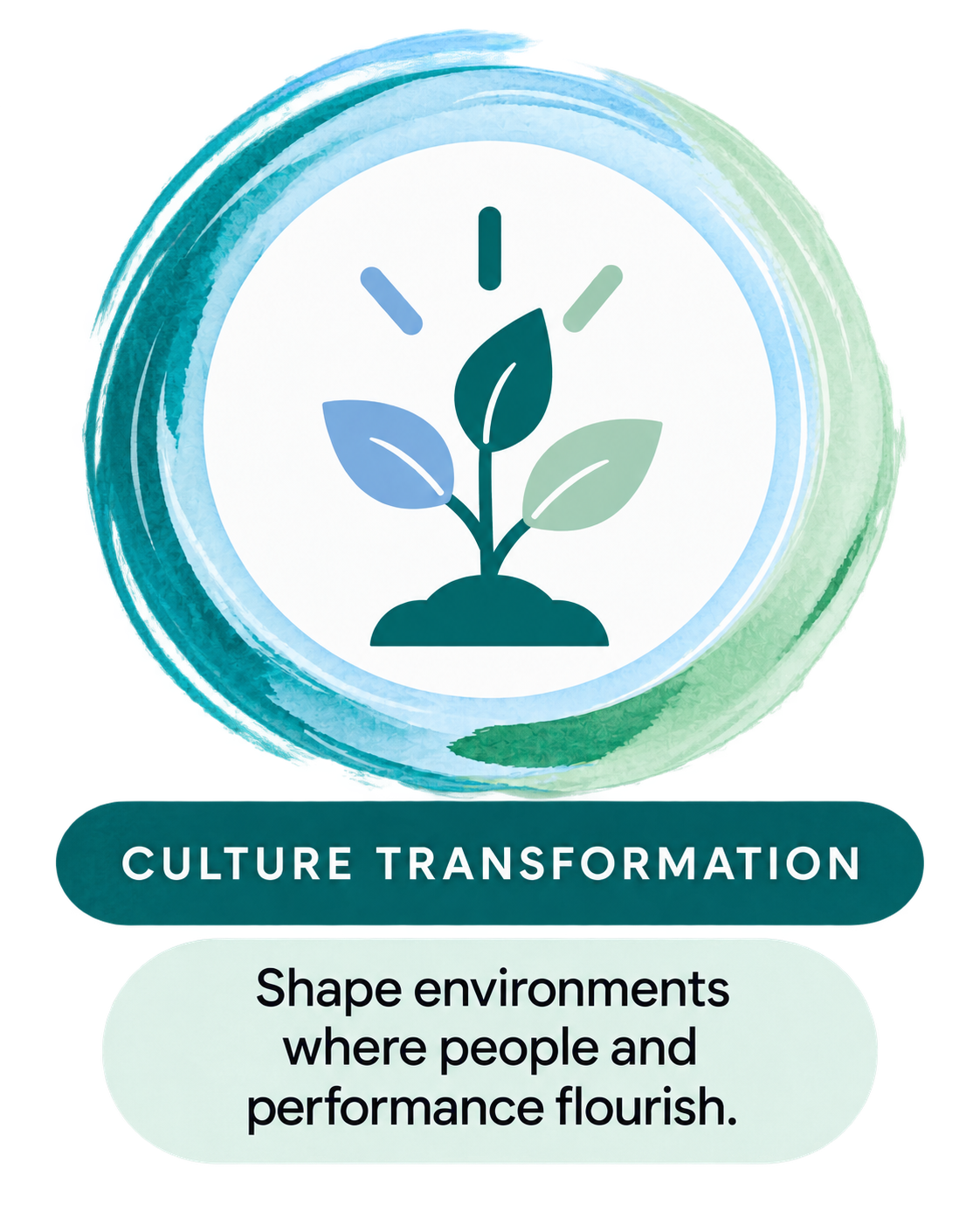 Culture Transformation: Shape environments where people and performance flourish.