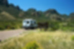 RV drives through mountainous terrain under a clear blue sky. A sign reads "Bear and Mountain Lion Country." Wildflowers dot the grassy foreground.