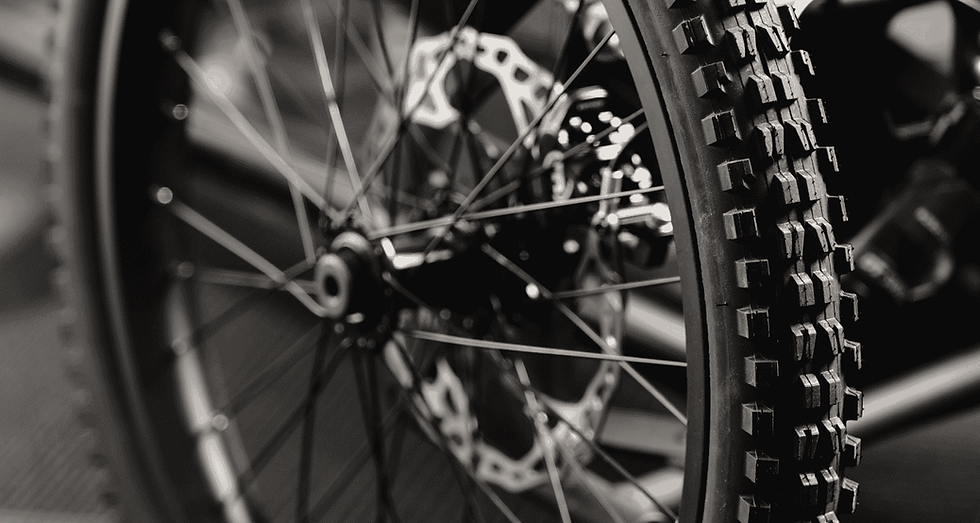 Thumbnail: Adaptive Downhill Bike: Exogravity | Rolling In Paradise