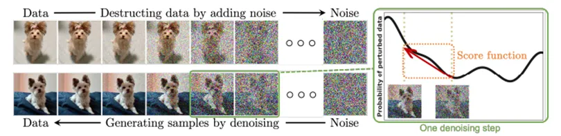Diffusion Networks