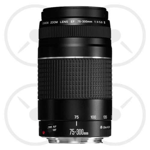 CANON LENSE EF 75-300MM F/4-5.6 III - Pre Owned