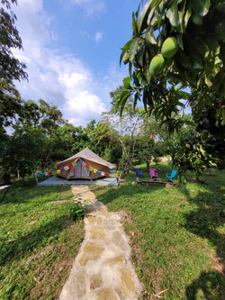 camp6