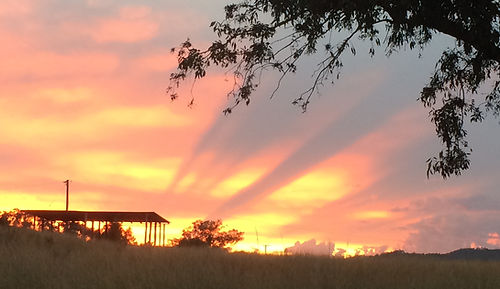 Family farmstay NSW, family holiday NSW, artist retreat NSW, weekend getaway NSW, romantic getaway NSW, northern rivers NSW, new england NSW, Tenterfield NSW, accommodation, self-contained rustic shearers quarters, camping, caravaning, sunset, book club group