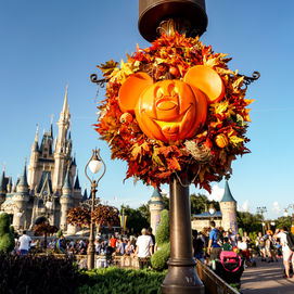 Magic Kingdom