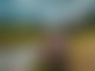 Fishhook Creek at Trail's End