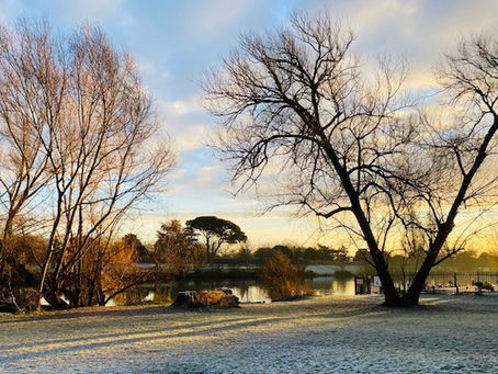 New Year's Intentions: a softer way to approach yourself